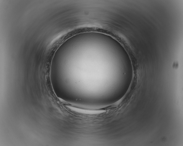 X0000112961064200908271111