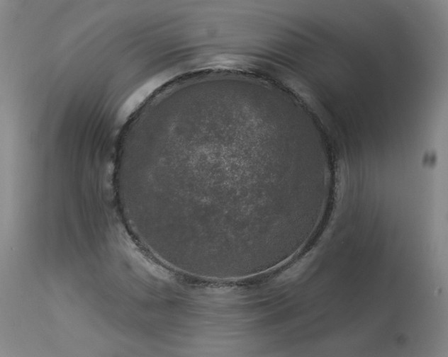 X0000112961066200908271111