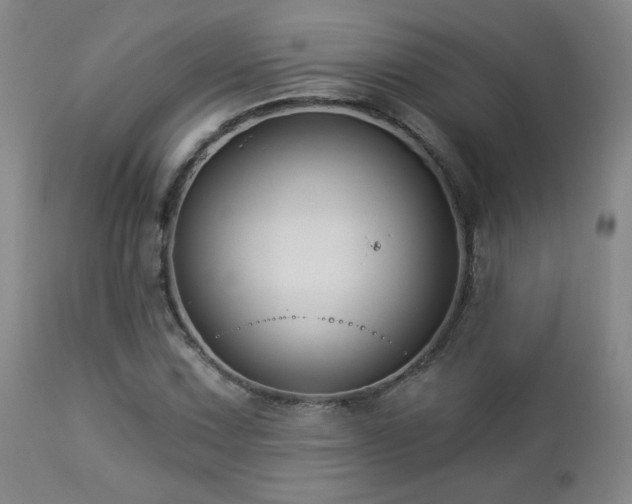 X0000112961067200908271111