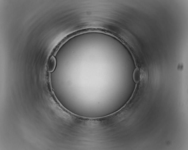 X0000112961068200908271111