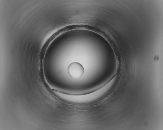 X0000112961069200908271111