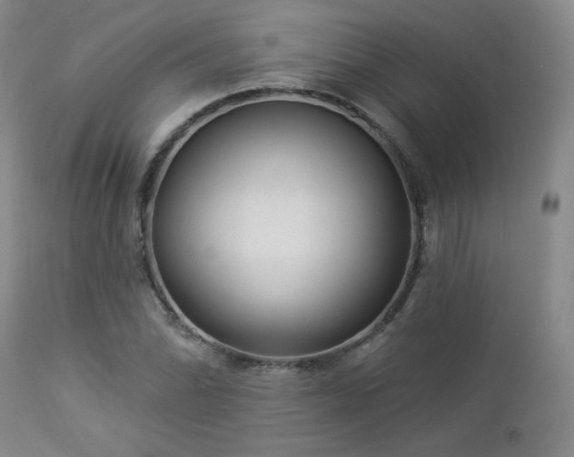 X0000112961070200908271111