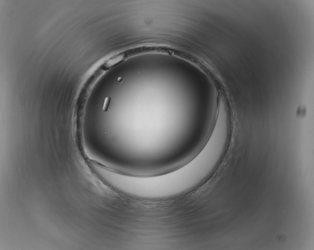 X0000112961076200908271110