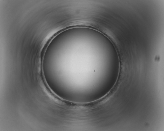 X0000112961079200908271110