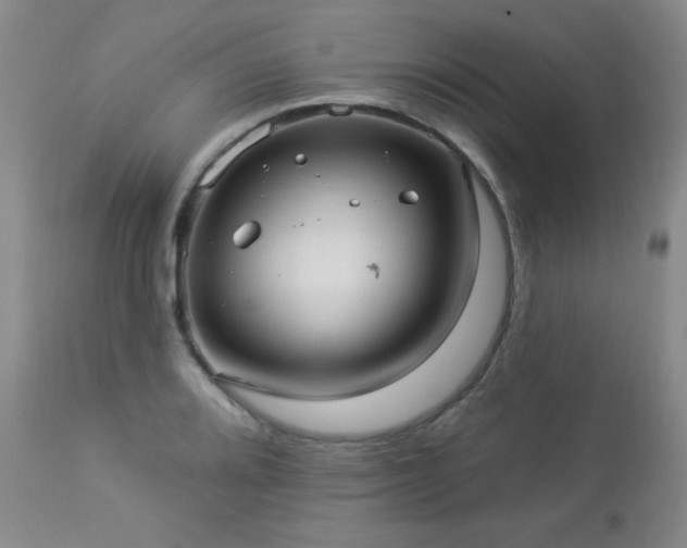 X0000112961080200908271110