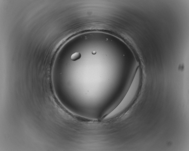 X0000112961081200908271110