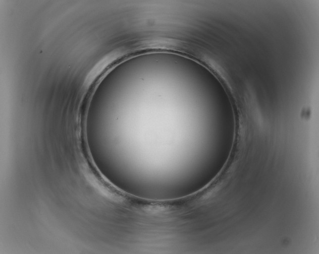 X0000112961082200908271110