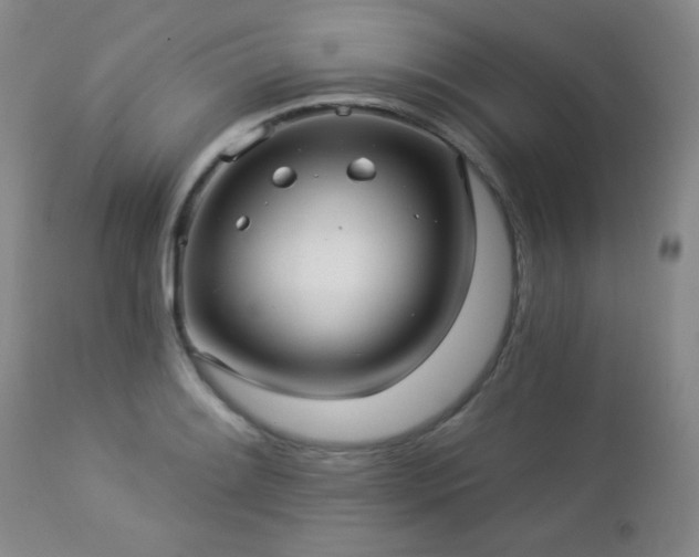 X0000112961084200908271110