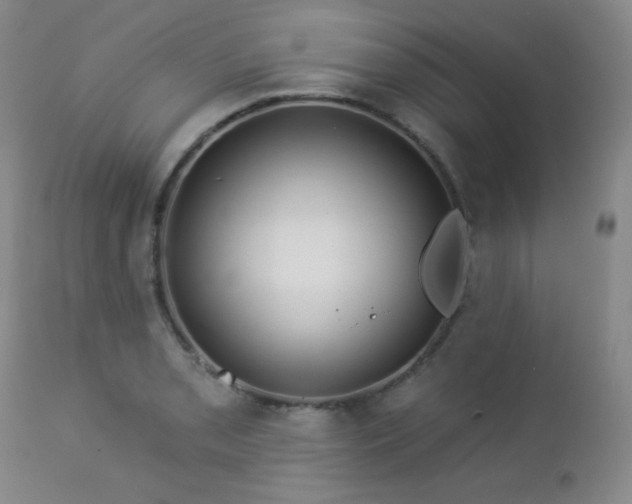 X0000112961085200908271110