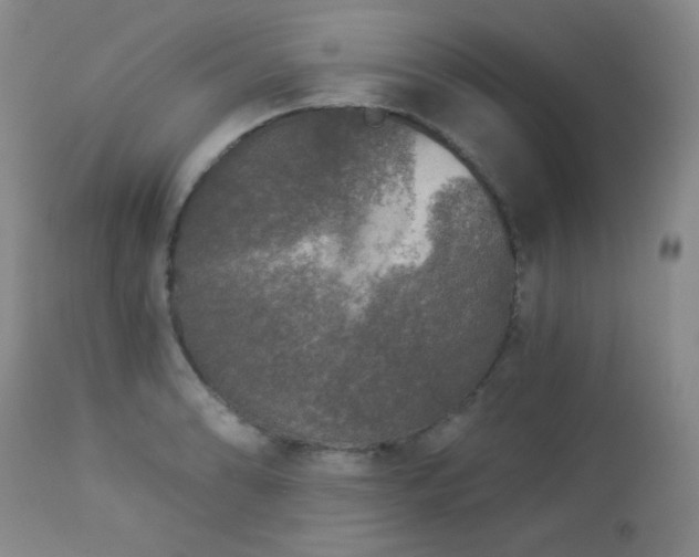 X0000112961086200908271110