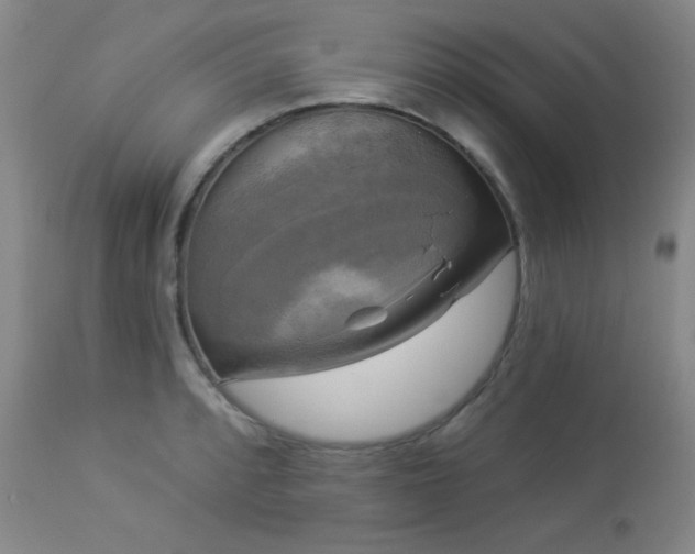 X0000112961088200908271110