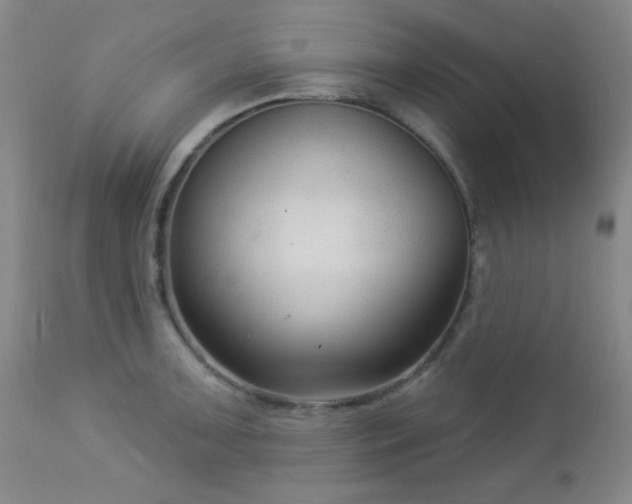 X0000112961091200908271110