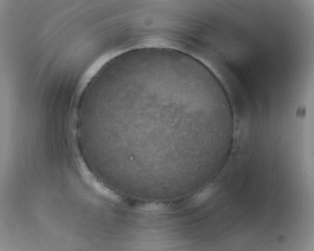 X0000112961094200908271110