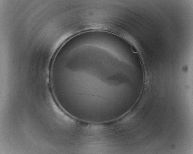 X0000112961095200908271110