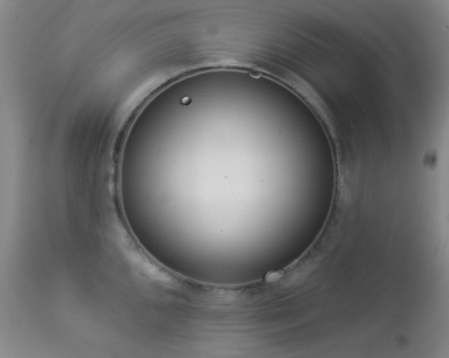 X0000112961096200908271110