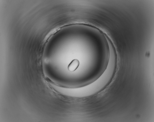 X0000112961097200908271110