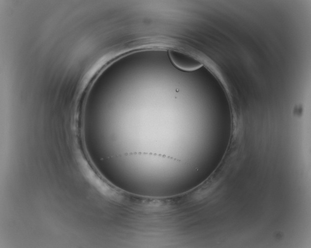 X0000112961099200908271110