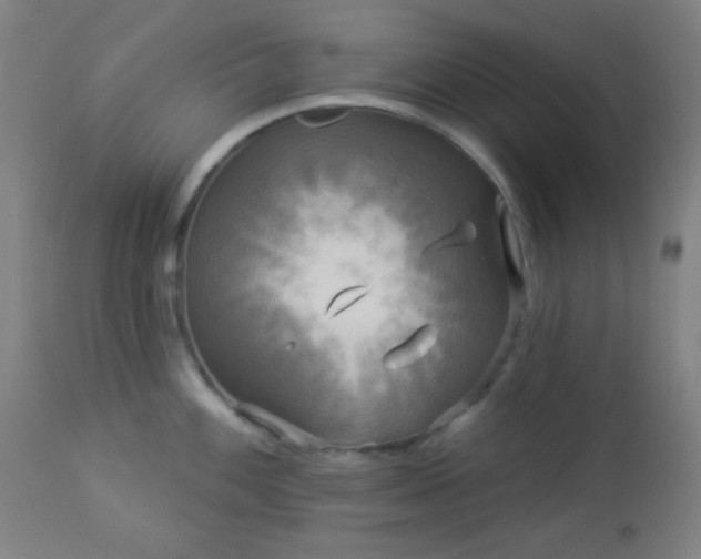 X0000112961100200908271110