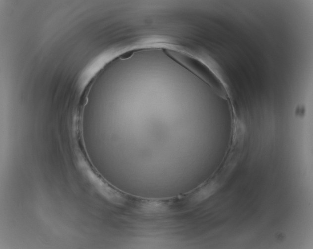 X0000112961101200908271110