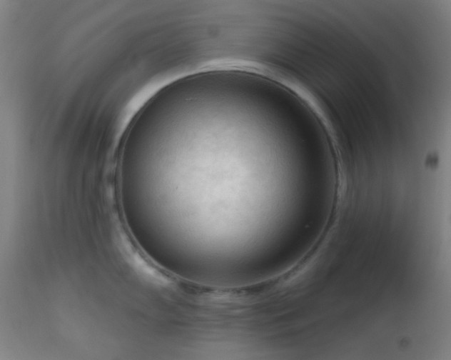 X0000112961102200908271110