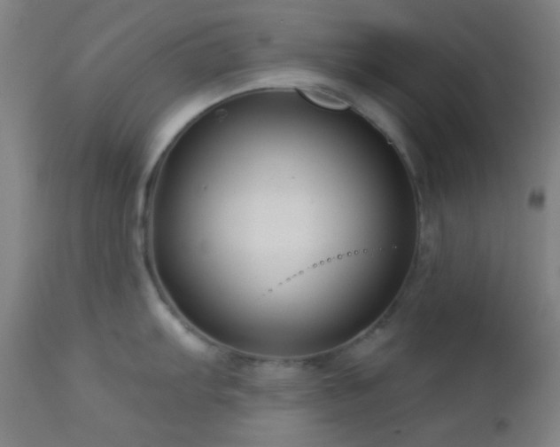 X0000112961103200908271110