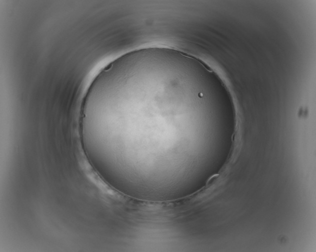 X0000112961104200908271110