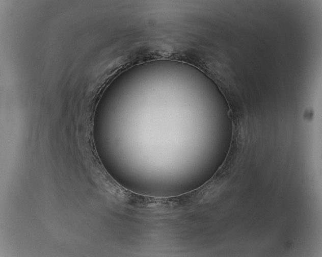 X0000112961105200908271109