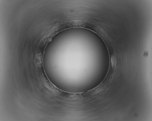 X0000112961107200908271109