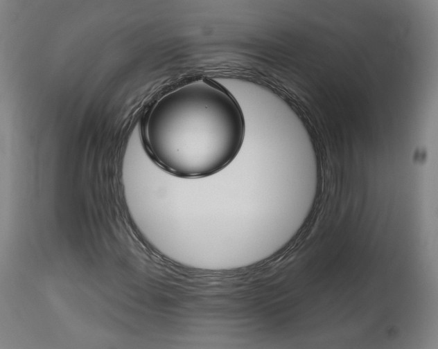 X0000112961108200908271109