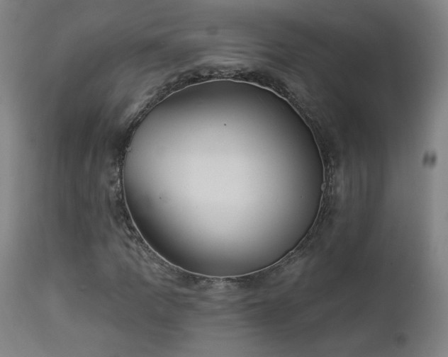 X0000112961109200908271109