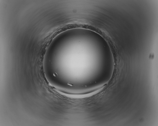 X0000112961110200908271109