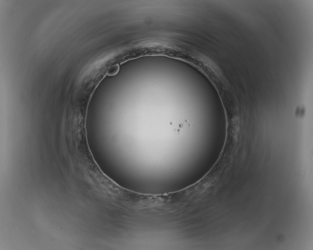 X0000112961111200908271109