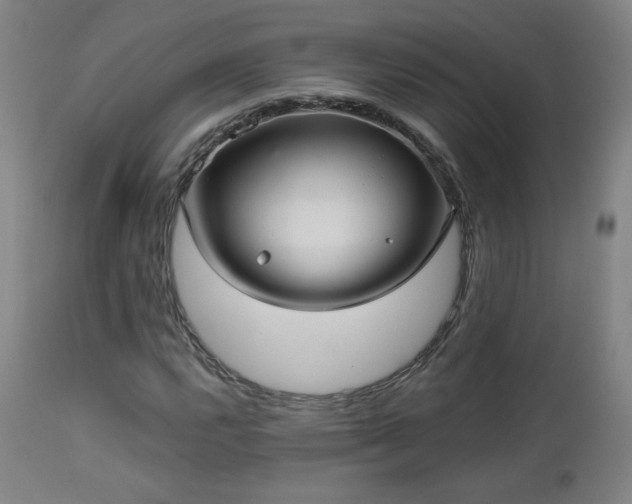 X0000112961112200908271109