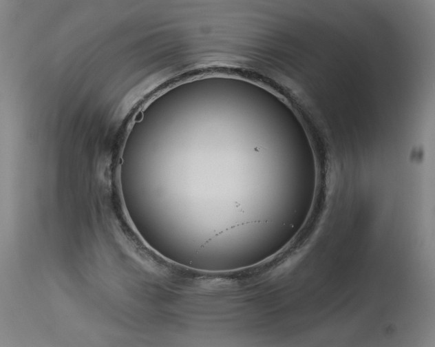 X0000112961113200908271109