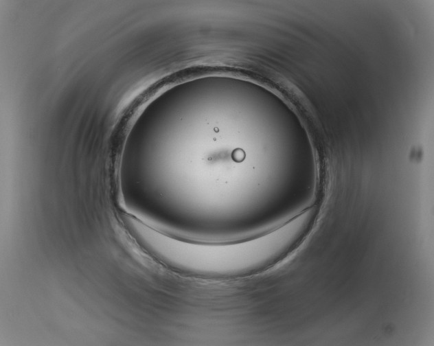 X0000112961114200908271109