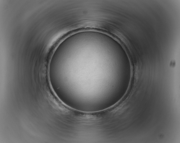 X0000112961115200908271109