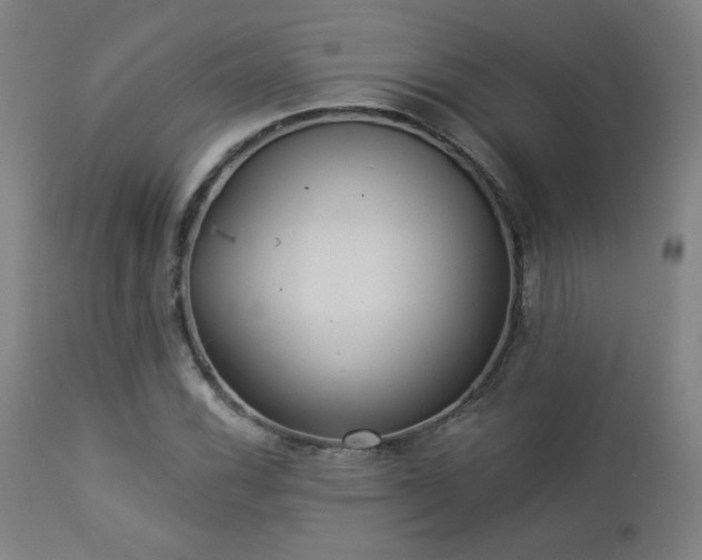 X0000112961116200908271109