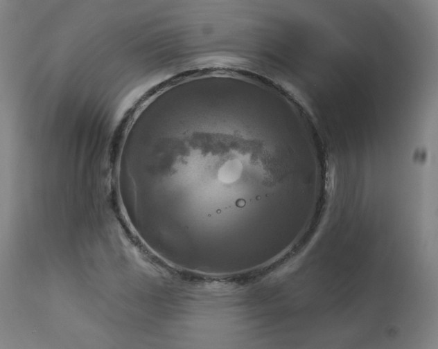 X0000112961117200908271109