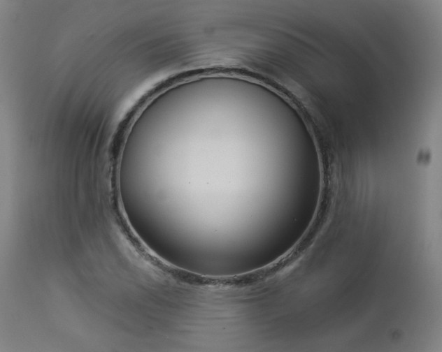 X0000112961118200908271109