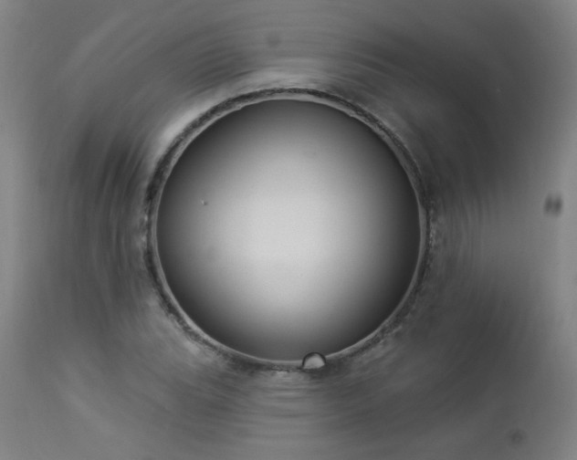 X0000112961119200908271109