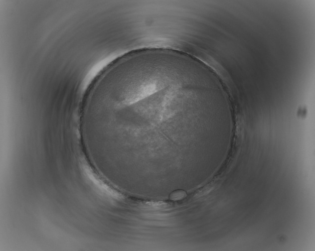 X0000112961120200908271109