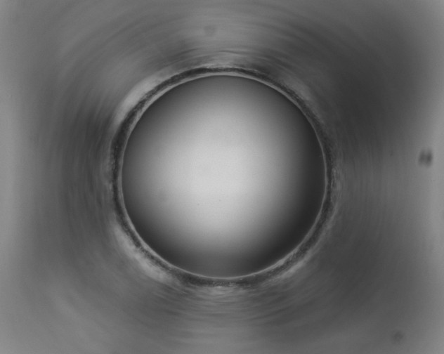 X0000112961122200908271109