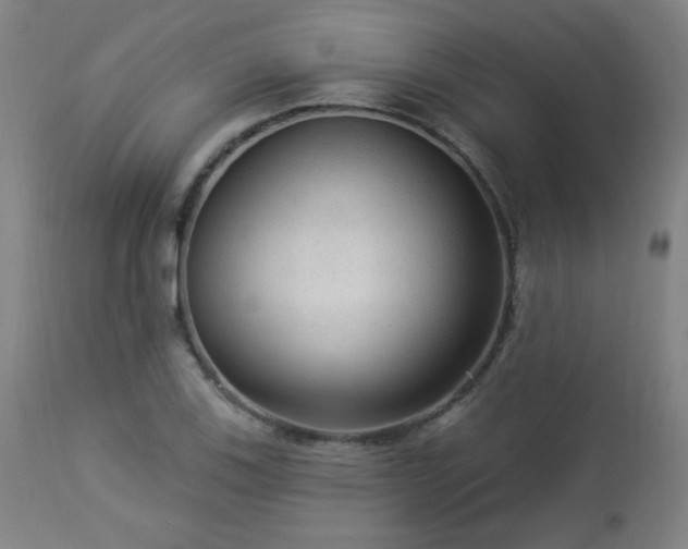 X0000112961123200908271109