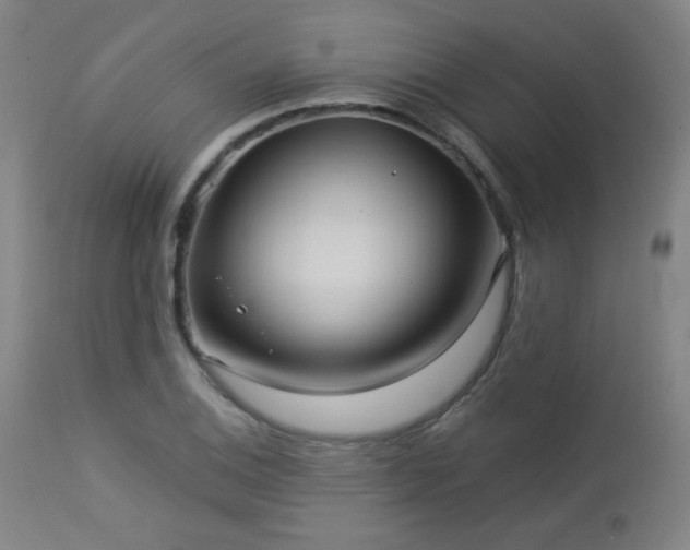 X0000112961124200908271109