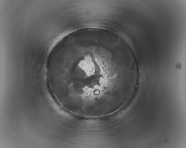 X0000112961125200908271110