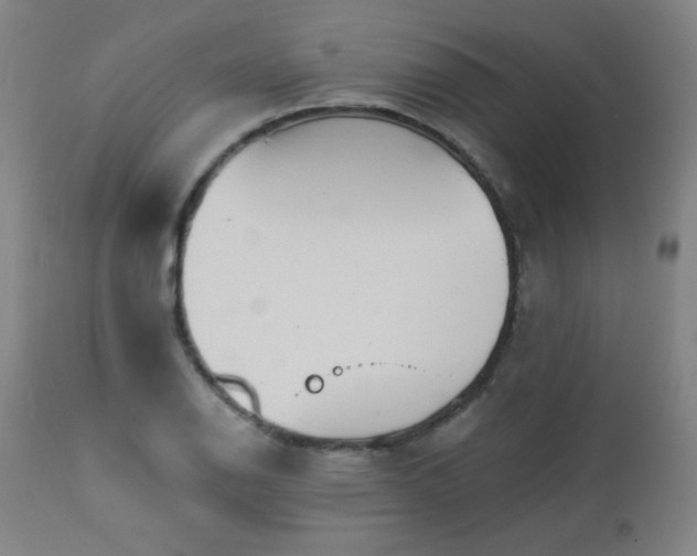 X0000112961126200908271110