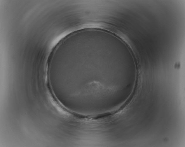 X0000112961127200908271110