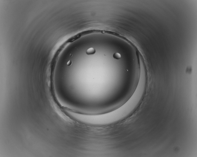 X0000112961128200908271110