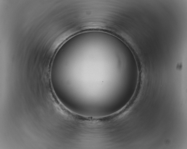 X0000112961129200908271110