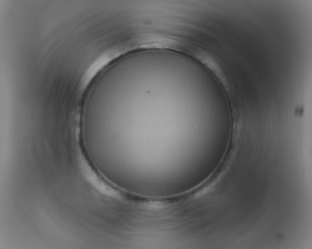 X0000112961130200908271110